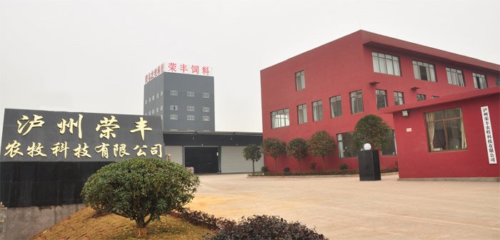 公开信息按发布时间滚动