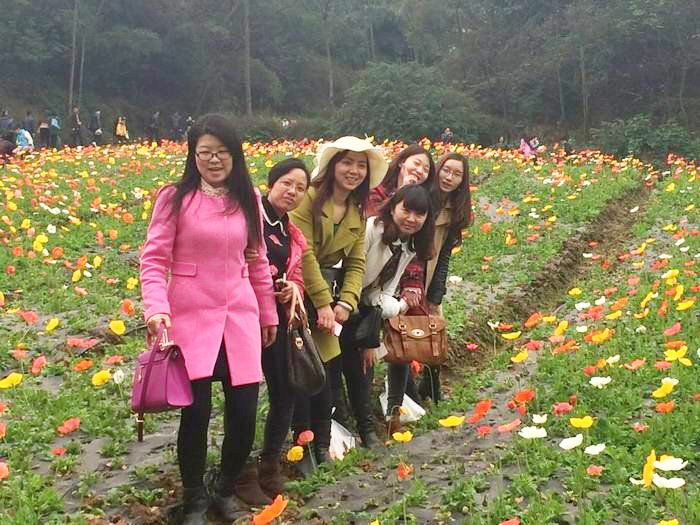 增进彼此间的交流与合作