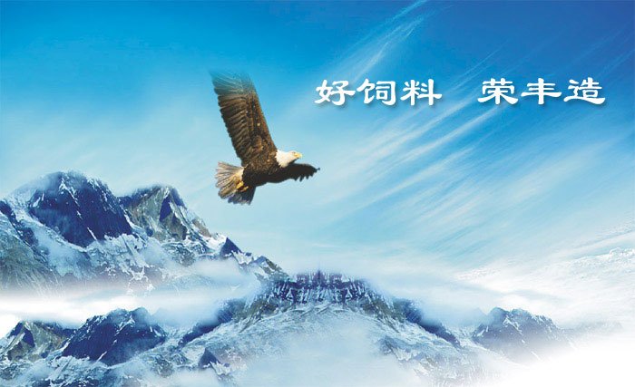 水产养殖于一体的大型农牧企业