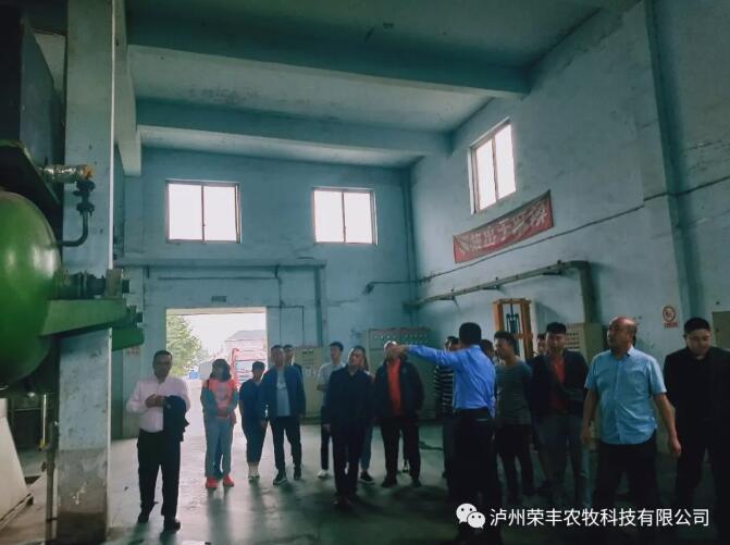 尤其是“非瘟”疫情对养猪业的重创