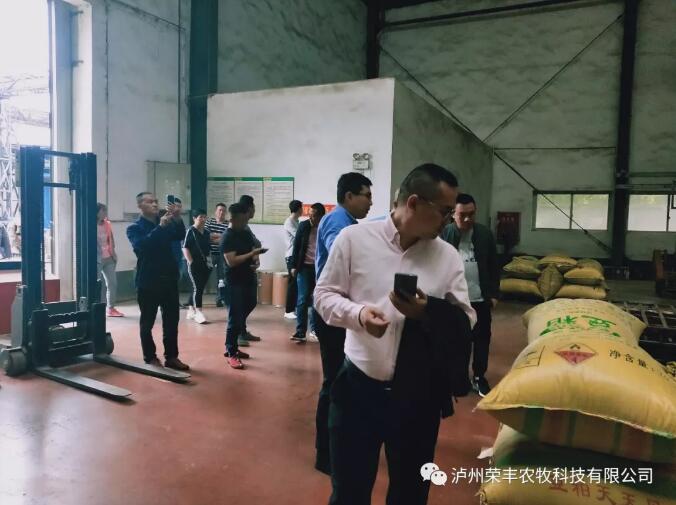 催生了反刍动物养殖