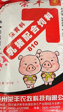 乳猪星空online(中国) 星空online(中国)官方网站入口